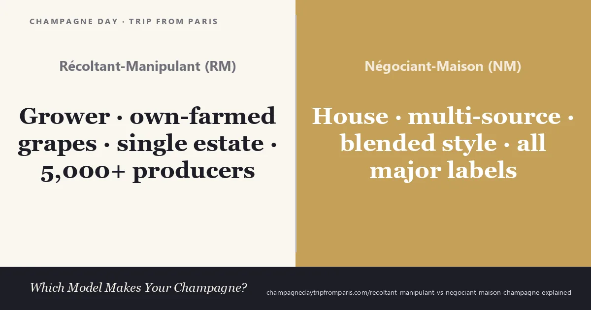 Récoltant-Manipulant champagne (grower-bottled from own-farmed grapes across a single estate with 5,000-plus producers) compared with Négociant-Maison (house style blended from multiple sources, including all the major Champagne brand labels)